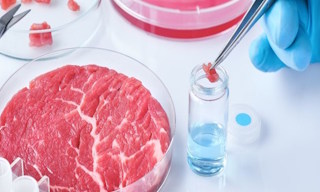 Лабораторный анализ пищевых продуктов по СанПиН в Грозном в октябре