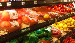 Сертификация пищевой продукции в Грозном – цена от 10261 руб. | ПромМир