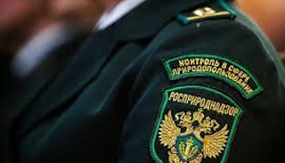 Подготовка к проверке Росприроднадзора в Грозном от ПромМир, стоимость услуги от 20522 руб.